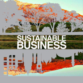 CSR & Impact Assessment CSR & Impact Assessment