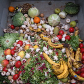 Exploring Food Waste: From Bangalore to Berlin Exploring Food Waste: From Bangalore to Berlin