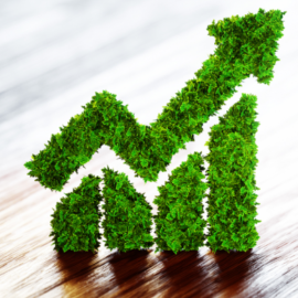 Can Green Bonds help to save the planet? Can Green Bonds help to save the planet?